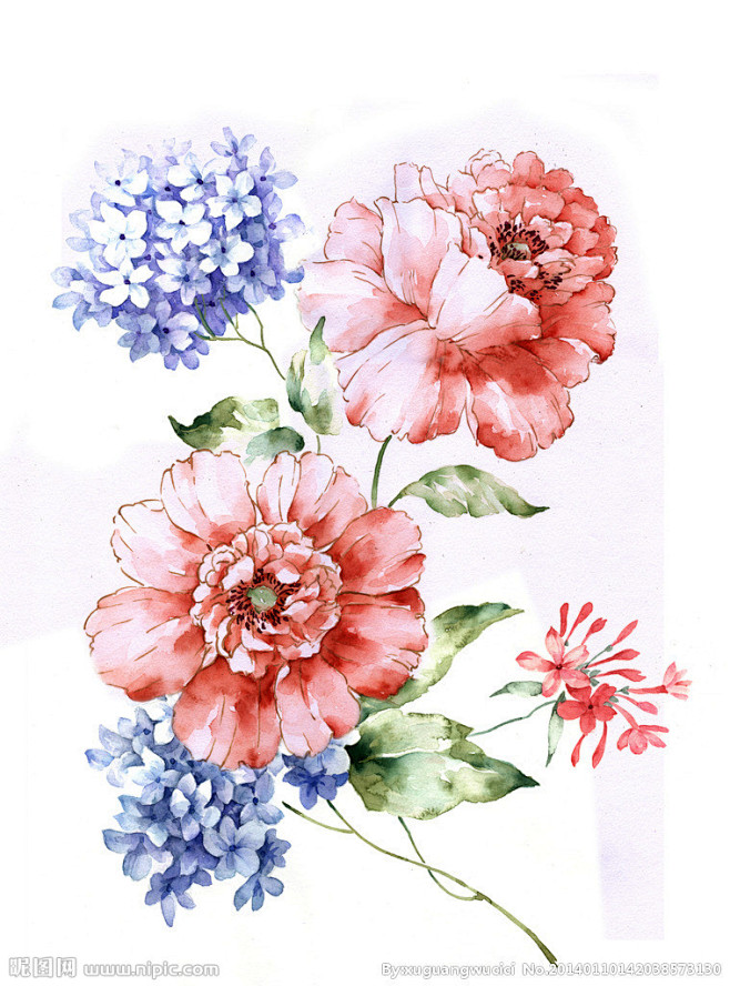 手绘花卉