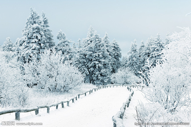 miss米百合从我想我是刺猬转采于2017-09-25 14:58:59雪景素材miss米