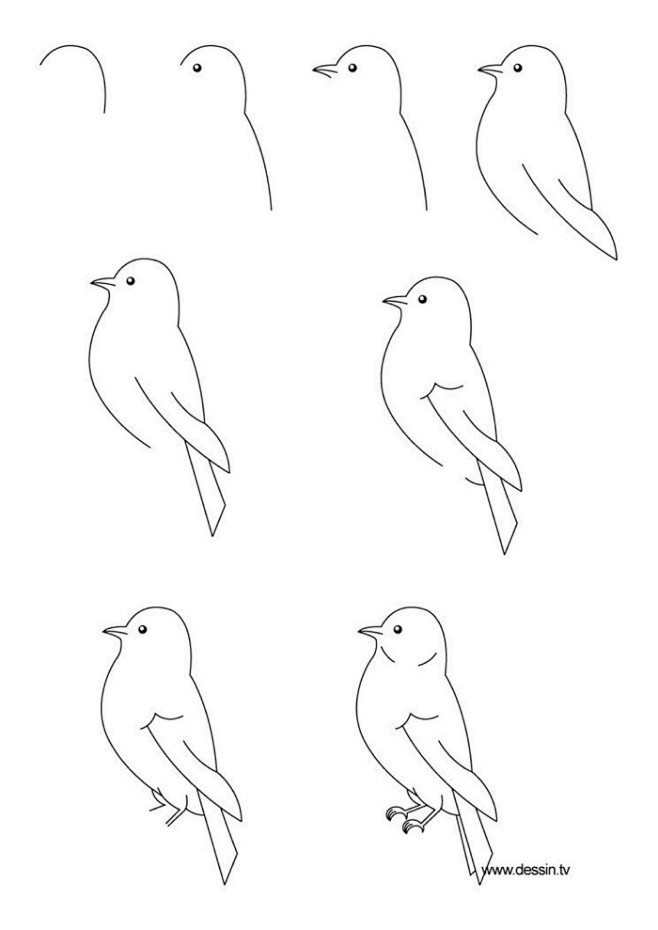简笔画鸟卡通手绘绘画教程