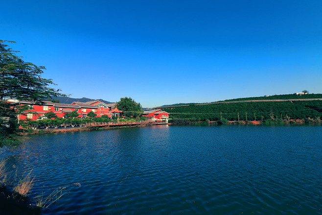 褚橙庄园一日游缅怀褚老先生