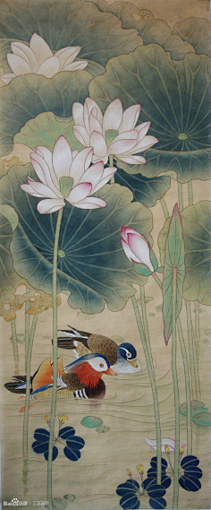 国画--荷花-花瓣网|陪你做生活的设计师 | 【中国工笔画论坛】 |工笔