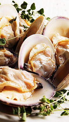 会有结果吗采集到肉食主义者