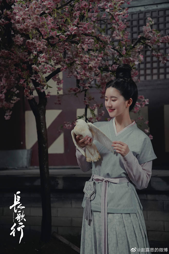 长歌行李乐嫣赵露思