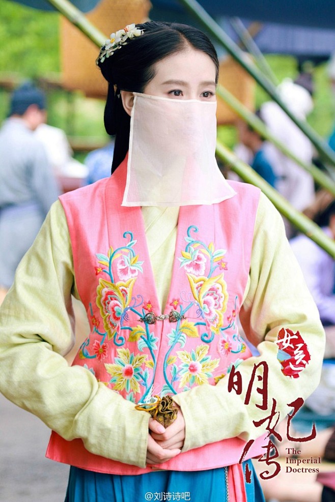 刘诗诗女医明妃传