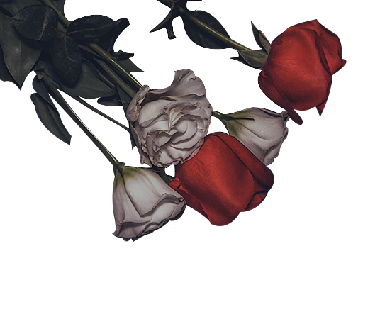 黑暗系玫瑰花png