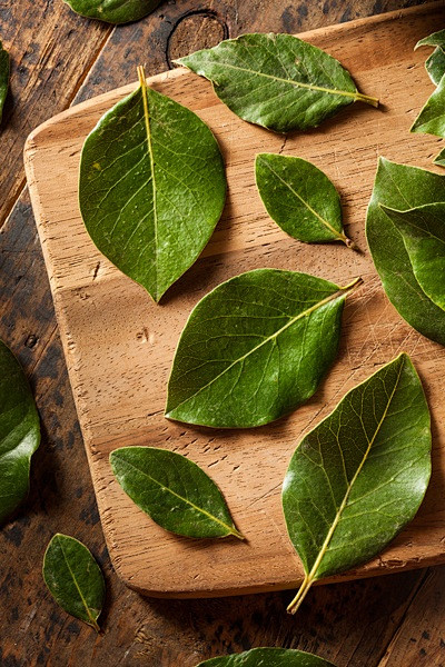 greenorganicbayleavesbybrenthofackeron500px