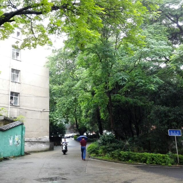 羊舞岭