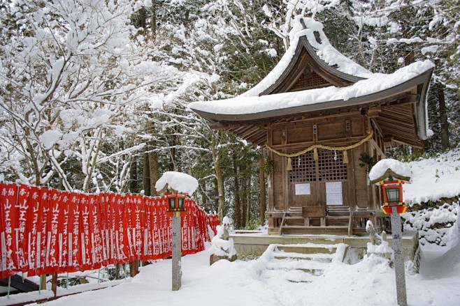 雪日本神社冬季神社树寺庙冷冻厂科torii日本建筑休闲