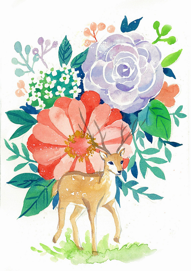 鹿与花水彩插画欣赏
