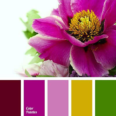 purplecolor图片