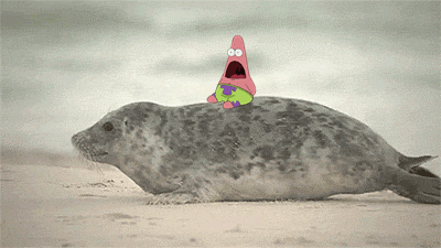 400_225gif 动态图 动图