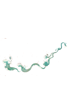 古风素材-花瓣网|陪你做生活的设计师 | 中秋节免抠图片透明背景png