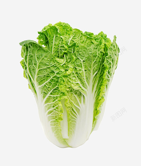 一颗好吃的大白菜创意素材