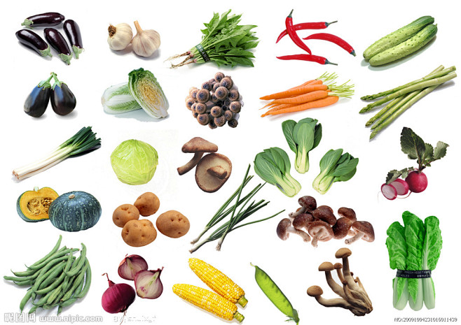 蔬菜大全源文件