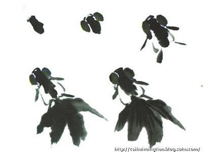 徐湛国画金鱼的画法