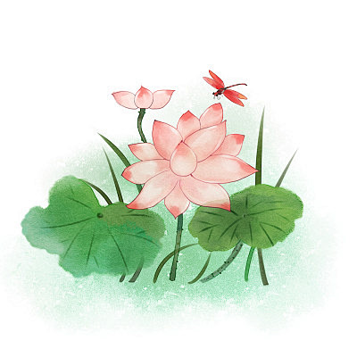 中国风手绘水墨荷花蜻蜓