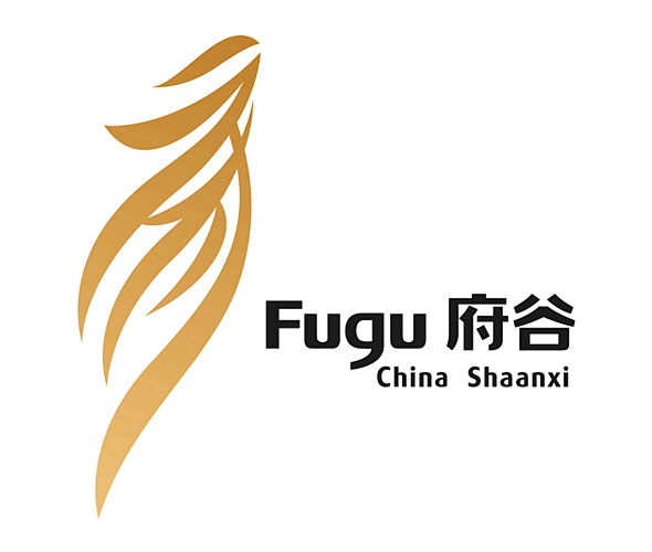 fugucitylogo圖文視頻陝西省榆林市府谷縣城市標識發佈