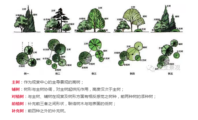 北方植物配置平面图图片