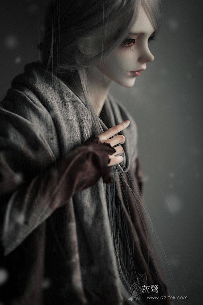 bjd娃娃dz3分60cm娃娃灰鹭gray