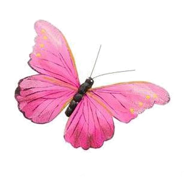 png透明背景素材37