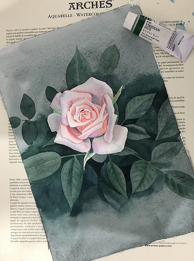 10:23:17水彩粉玫瑰1喜欢pploveyou的原创画板pploveyou该采集也在