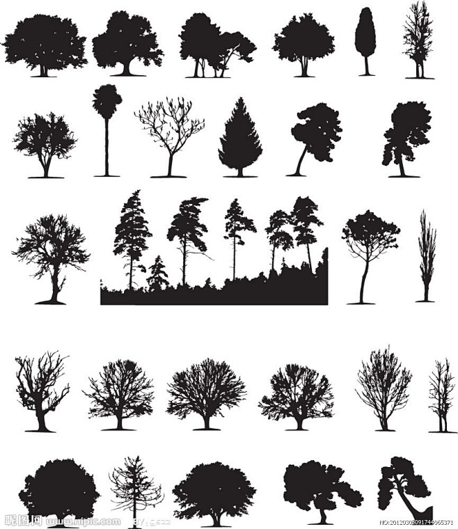 树剪影