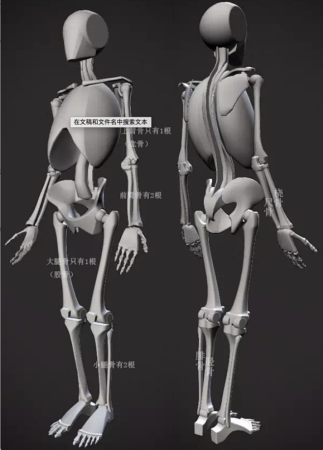 人体骨骼模型简化