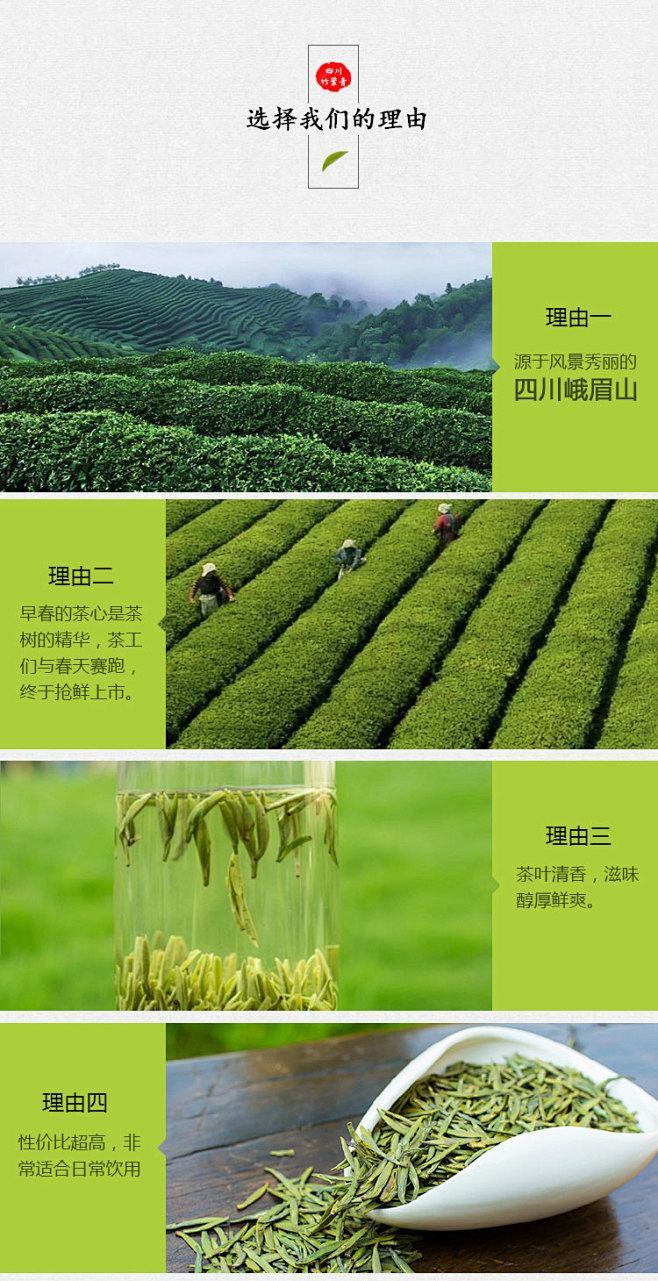 峨眉珍茶叶知识图片