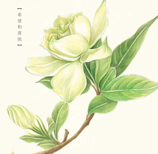 南栀著花未