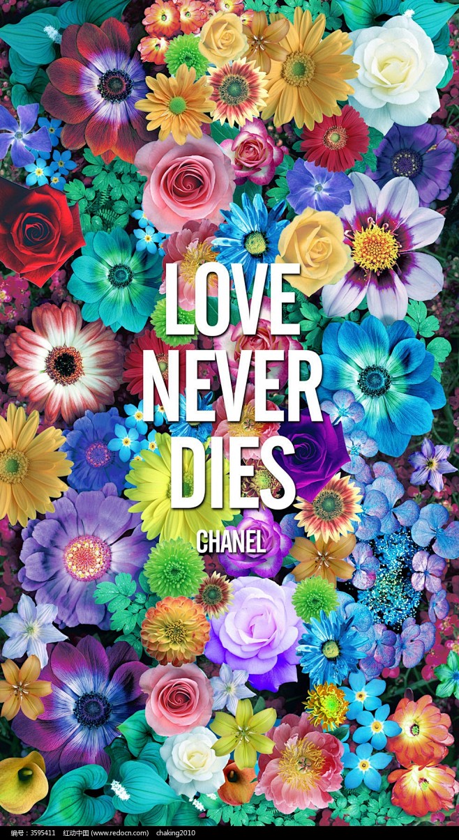 设计生物世界时尚花朵五彩缤纷鲜花鲜艳炫丽绚丽背景原创海报绽放更多