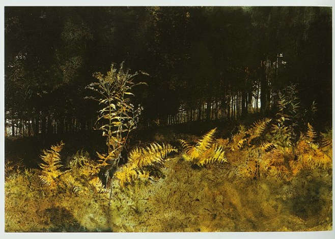 瑞安画室推荐美国新写实主义大师安德鲁怀斯水彩画作品水彩风景欣赏