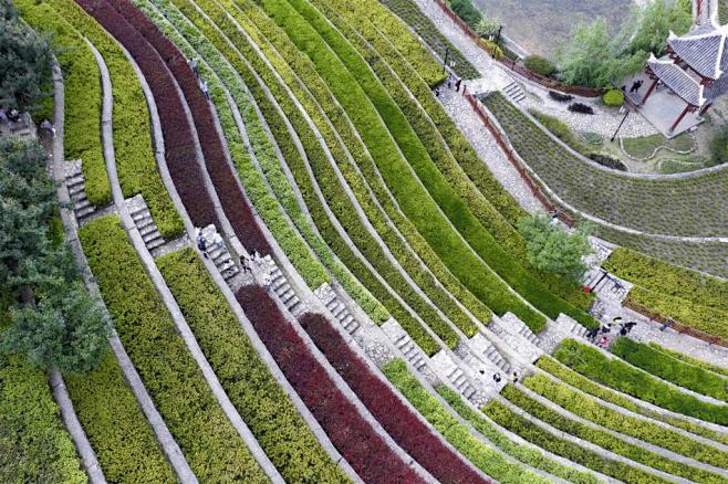 大地指纹–奢香古镇古彝梯田稻城景观–mooool木藕设计网