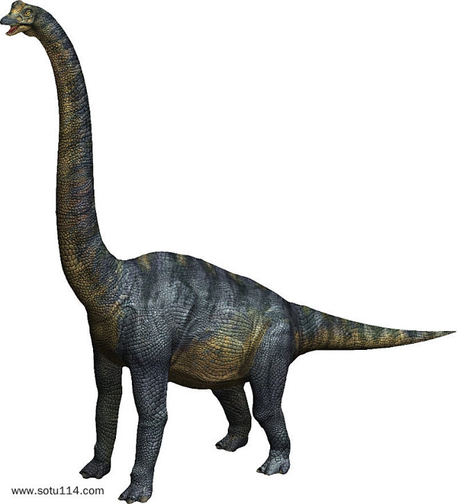 淡白水从yona转采于2020-04-24 17:13:12双腔龙