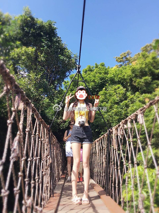 20:09:58来自相册茜公举旧时光终究会老去该采集也在以下画板加载更多