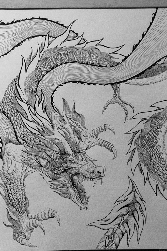 8开手绘龙