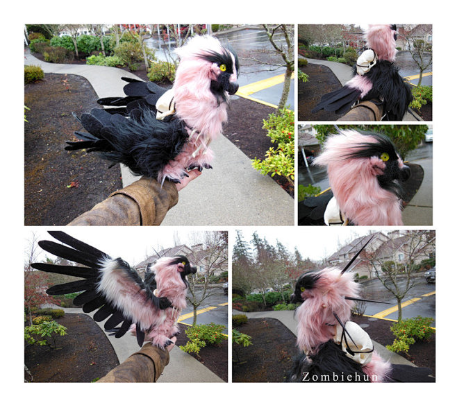 beardedvulturesoldbyzombiehun