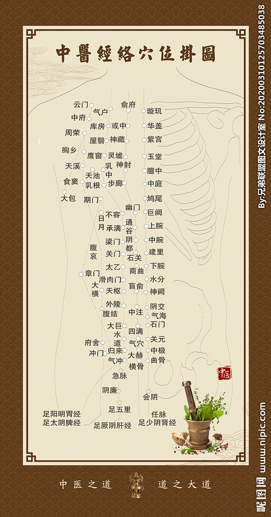 经络穴位图图片经络穴位图模板下载人体穴位图穴位图经络经络图片经络