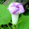 qNMOp_!