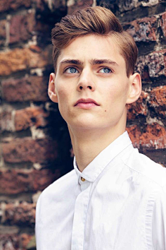 matsvansnippenberg马定春