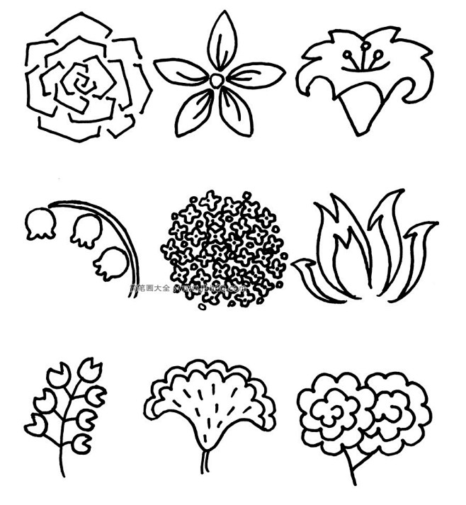 81种花朵的简笔画图片