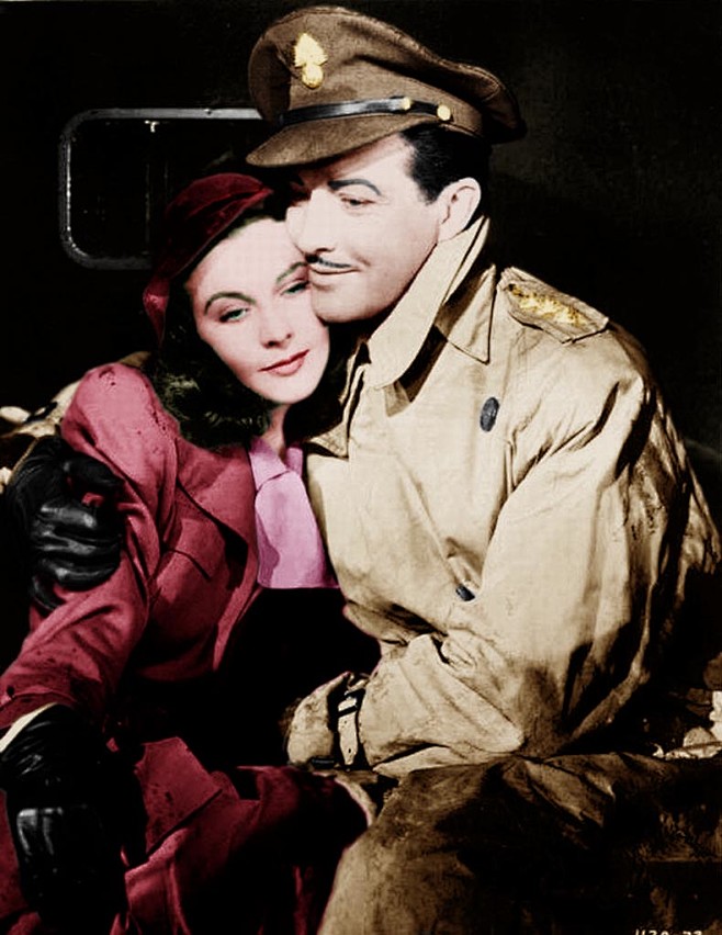 费雯丽罗伯特泰勒