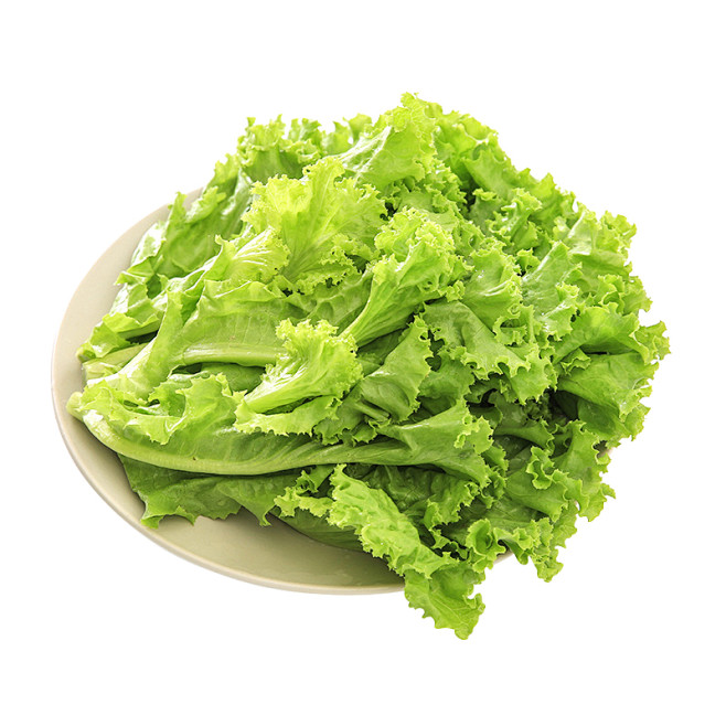 旭耕有机生菜350g净菜绿叶青菜新鲜蔬菜沙拉配菜生吃即食甜脆tmallcom