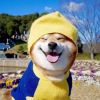 倒霉侠雷背时