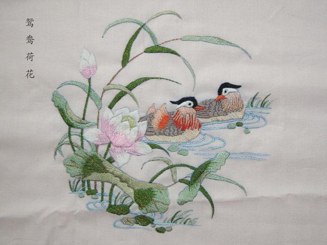 点击查看源网页