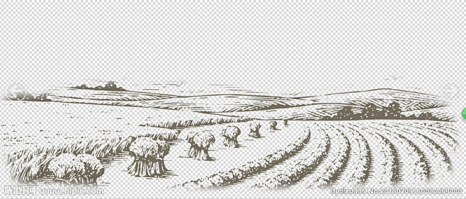 稻田梯田手绘画