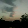 Dawn523