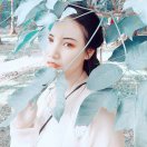 谦谦qing