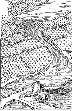 大米包装-花瓣网|陪你做生活的设计师 | 在越南北部阳台稻田由琼映上