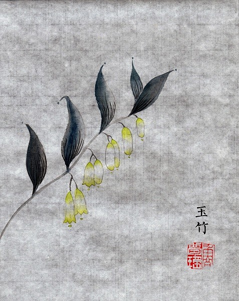 依米雯雯从镜子与钟表转采于2017-04-05 10:56:53玉竹手绘插画依米