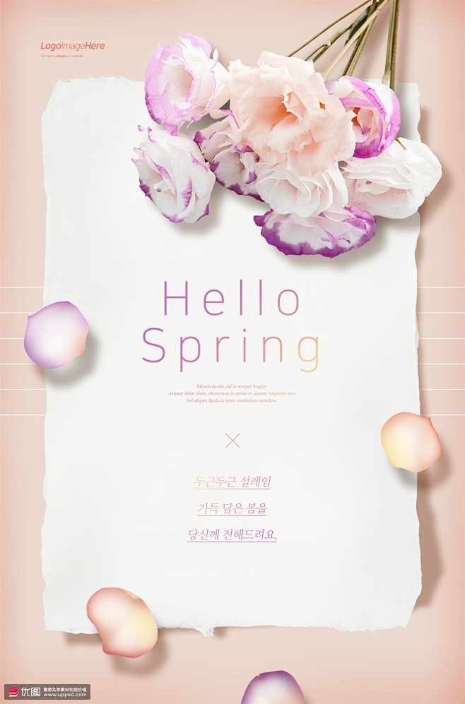 粉紫月季飘落花瓣春天贺卡春季鲜花海报psd09广告海报素材下载优图up